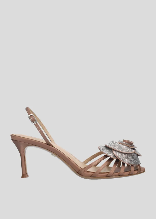ROSE 65