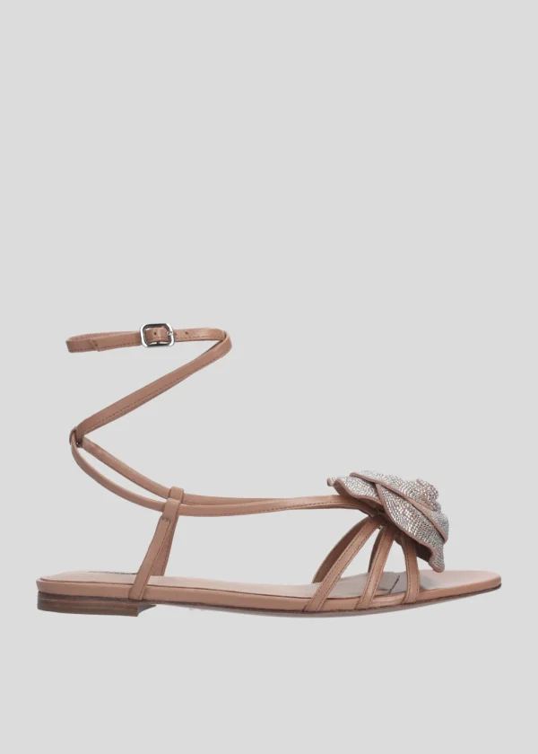 ROSE FLAT